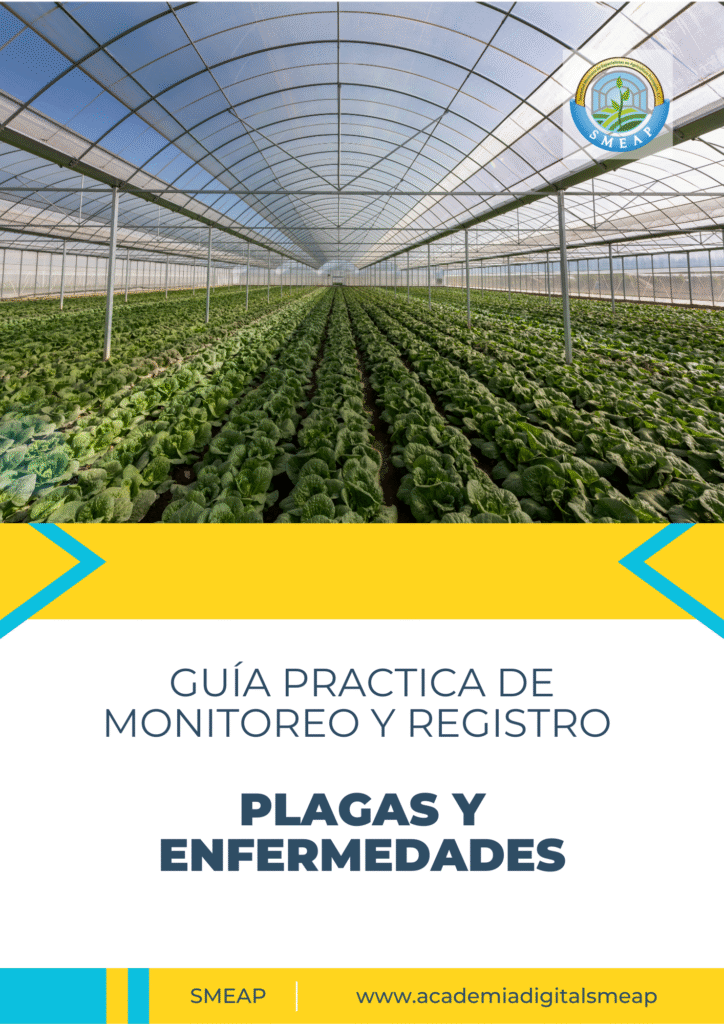 Documento a4 portada reporte anual empresa corporativo azul blanco negro